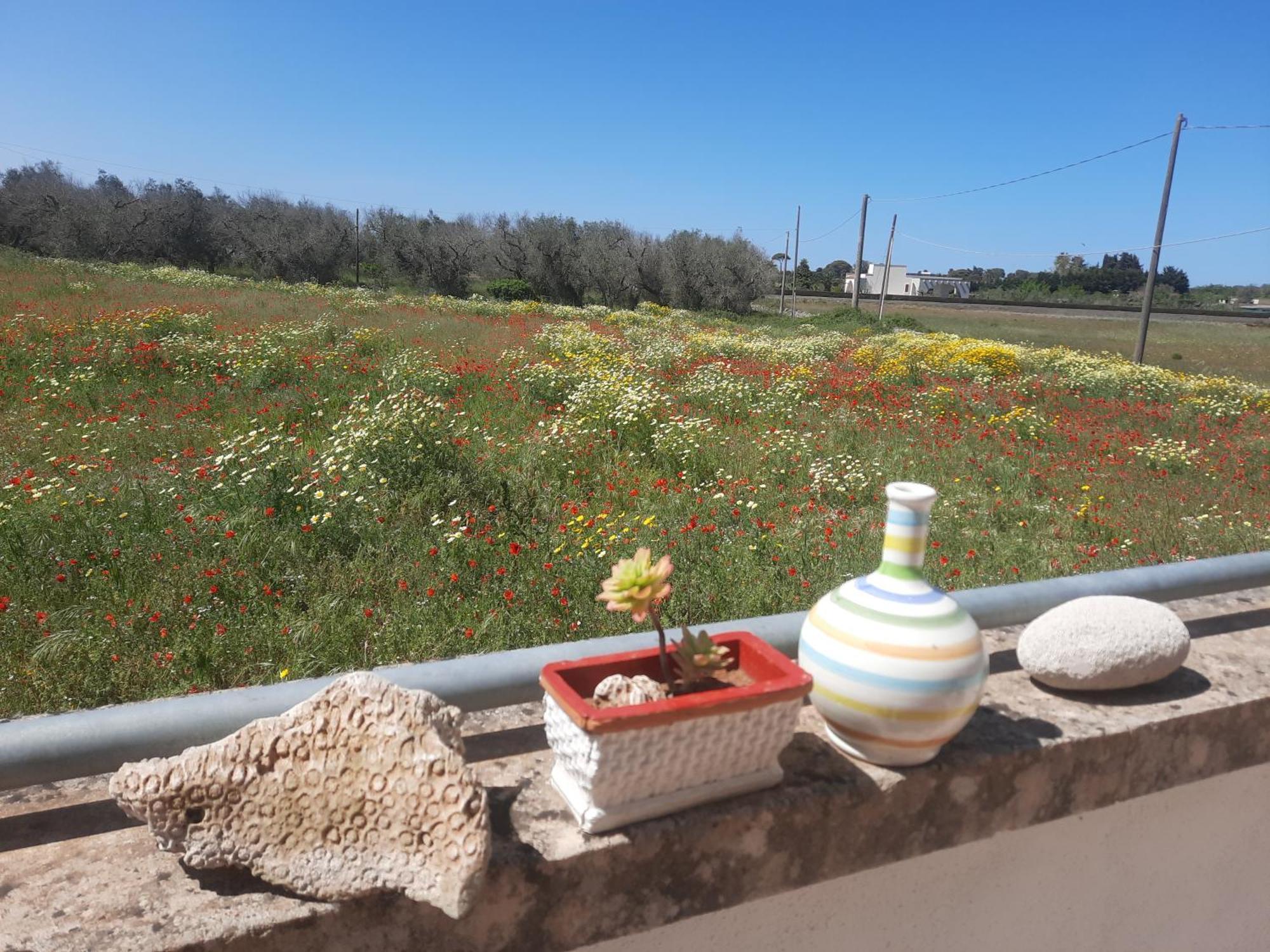 Casa vacanze Versante Est *